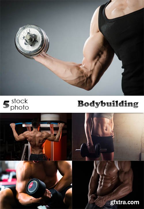 Photos - Bodybuilding