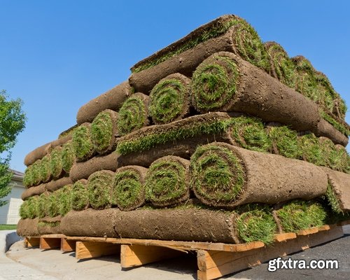 Landscaping and gardening Stock images - 25 HQ Jpg
