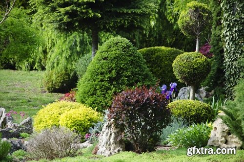Landscaping and gardening Stock images - 25 HQ Jpg