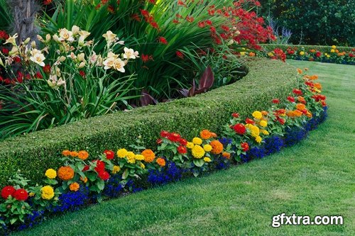 Landscaping and gardening Stock images - 25 HQ Jpg