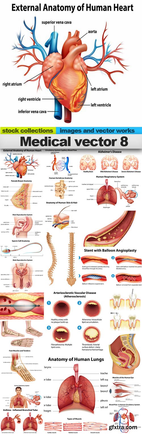 Medical vector 8, 25 x EPS
