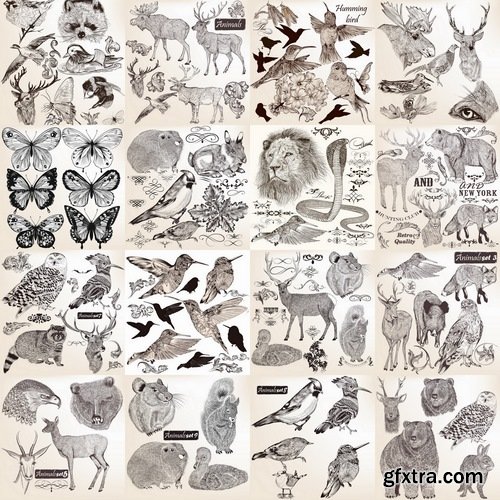 Hand drawing birds and animals in vector from stock - 25 Eps