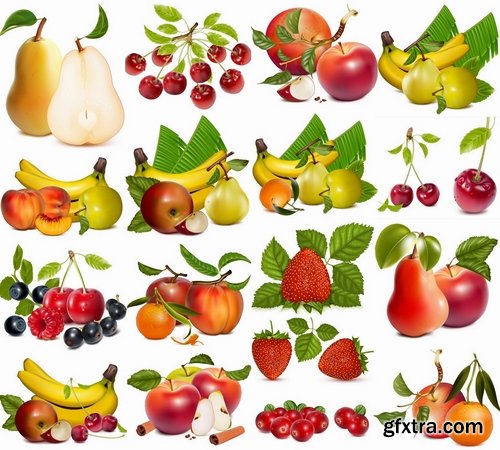 Realistic vector fruits from stock - 25 Eps