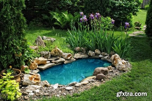 Decorative ponds in the garden and in nature - 25 HQ Jpg