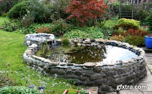 Decorative ponds in the garden and in nature - 25 HQ Jpg