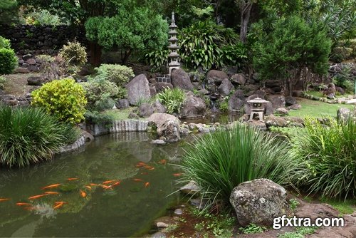 Decorative ponds in the garden and in nature - 25 HQ Jpg