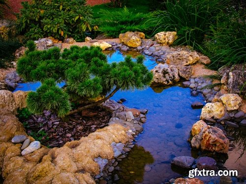 Decorative ponds in the garden and in nature - 25 HQ Jpg