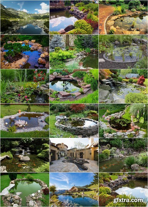 Decorative ponds in the garden and in nature - 25 HQ Jpg