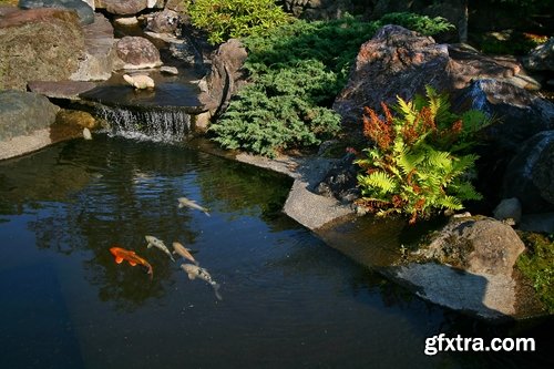 Decorative ponds in the garden and in nature - 25 HQ Jpg