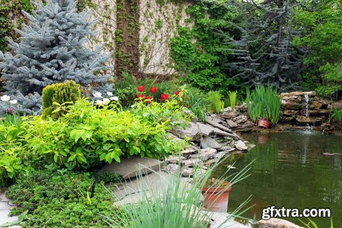 Decorative ponds in the garden and in nature - 25 HQ Jpg