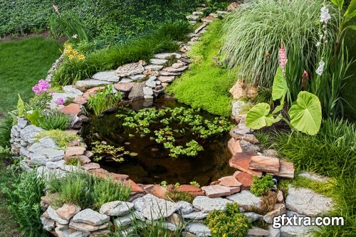 Decorative ponds in the garden and in nature - 25 HQ Jpg