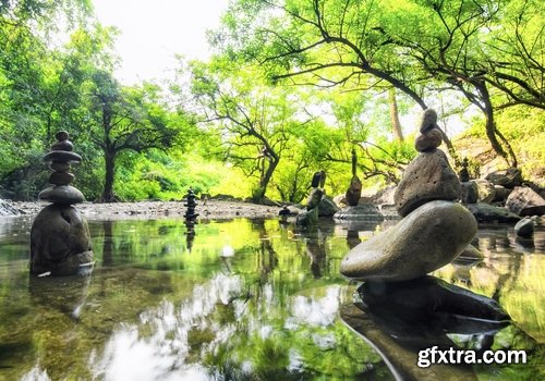 Decorative ponds in the garden and in nature - 25 HQ Jpg