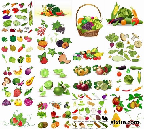 Vector fruits and vegetables from stock - 25 Eps