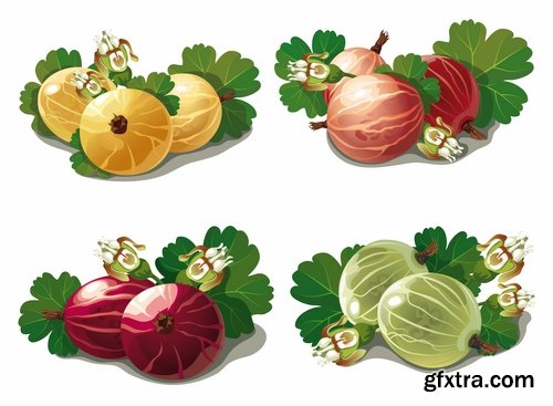 Vector fruits and vegetables from stock - 25 Eps
