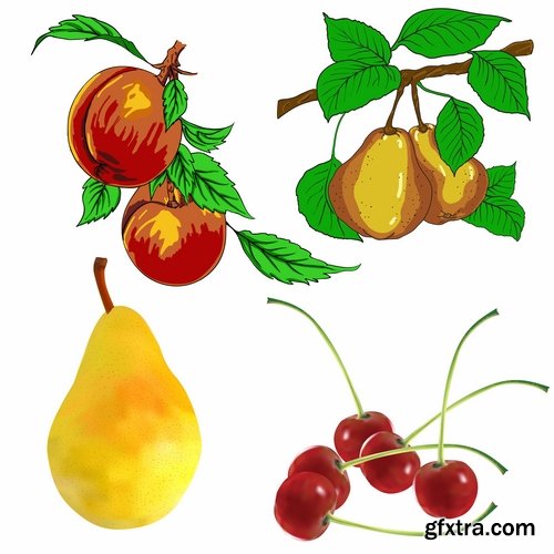 Vector fruits and vegetables from stock - 25 Eps