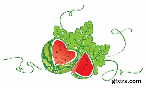 Vector fruits and vegetables from stock - 25 Eps