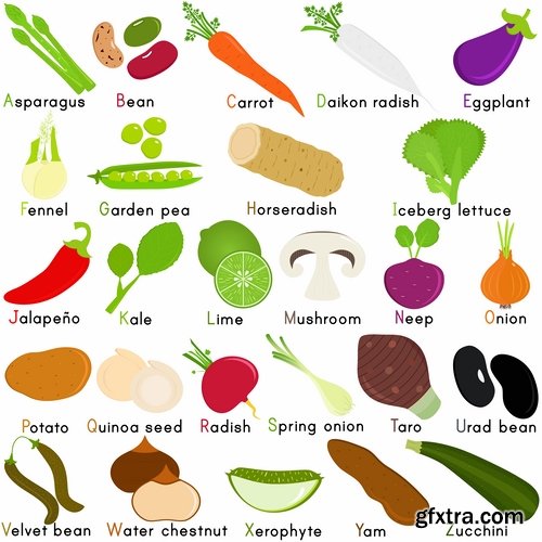 Vector fruits and vegetables from stock - 25 Eps