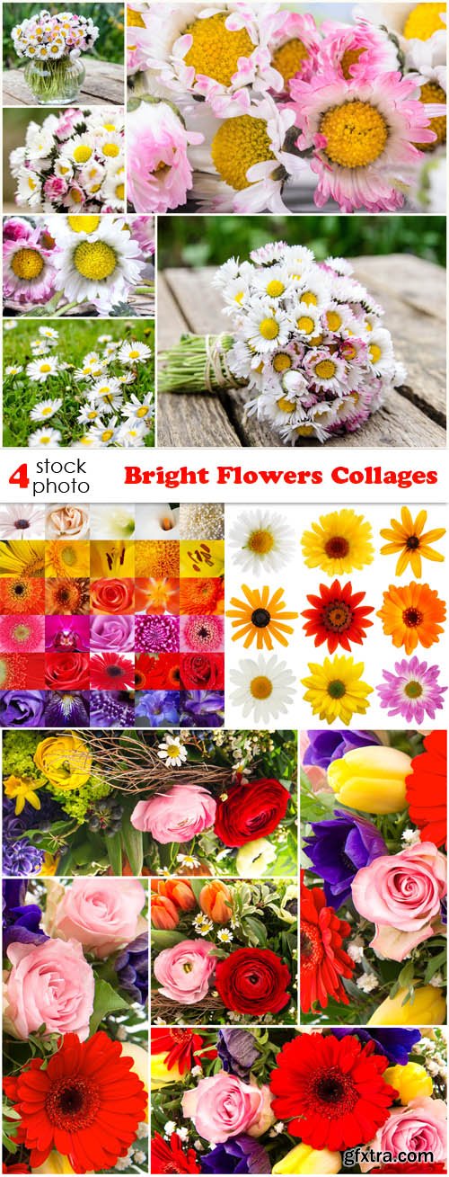 Photos - Bright Flowers Collages