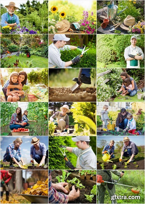 Gardener at working Stock images - 25 HQ Jpg