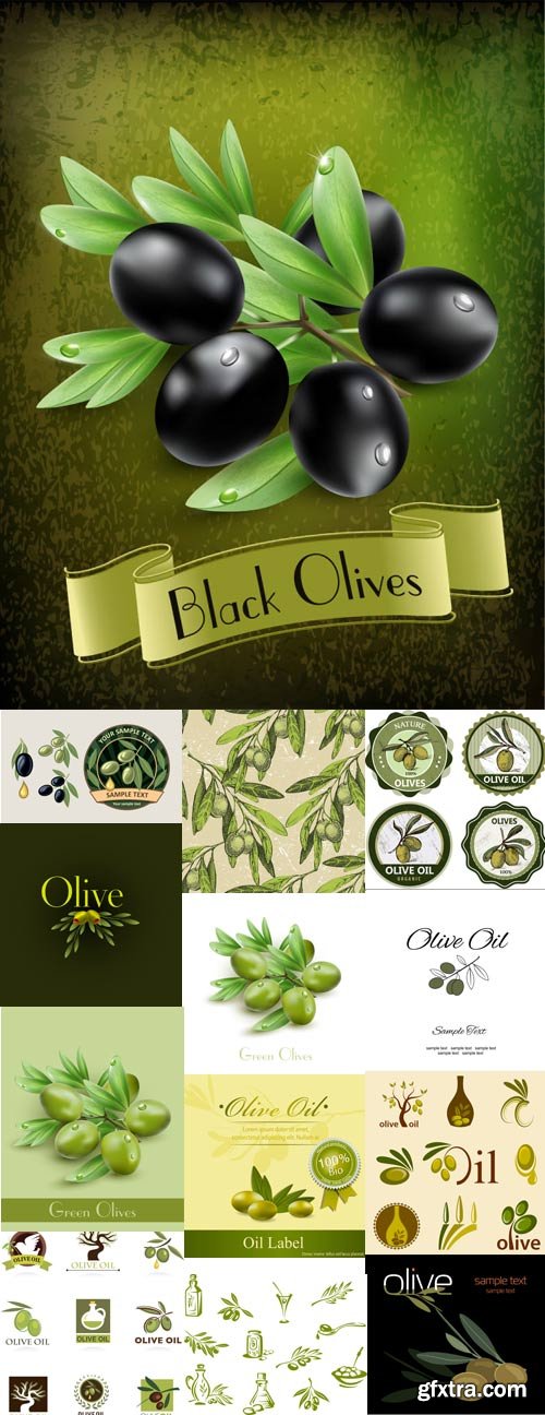 Green and black olives, olive oil