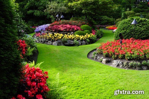 Ornamental Garden - 25 HQ Images