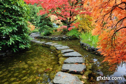 Ornamental Garden - 25 HQ Images