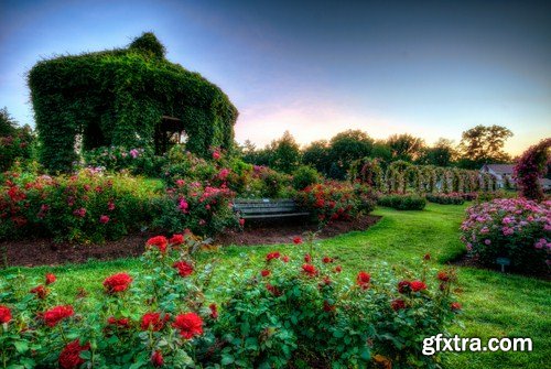 Ornamental Garden - 25 HQ Images