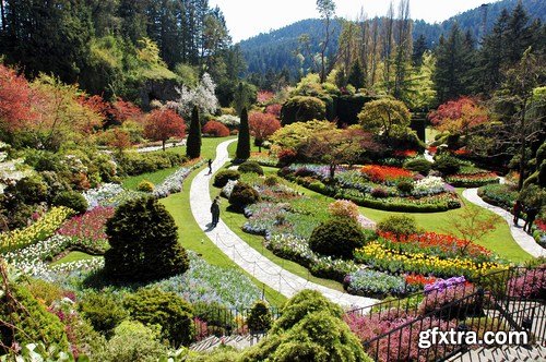 Ornamental Garden - 25 HQ Images
