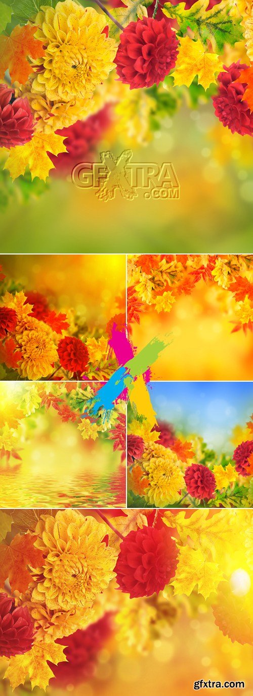 Stock Photo - Autumn Flowers Cards
