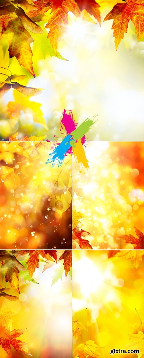 Stock Photo - Autumn Leaves Backgrounds 6