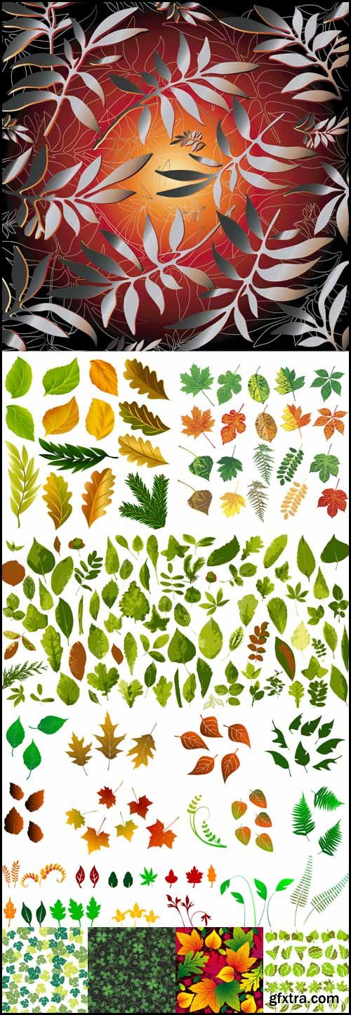 Shutterstock Leaves in Vector
