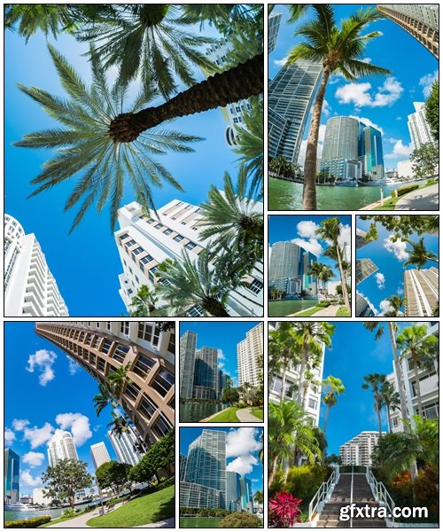 Downtown Miami - Stock Photo Downtown Miami - Stock Photo