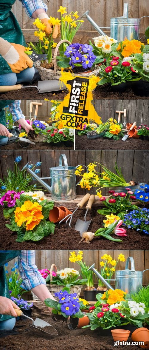 Stock Photo - Gardening Tools & Flowers