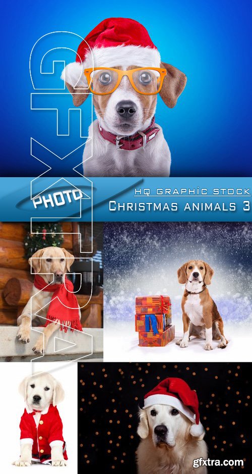 Stock Photo - Christmas animals 3