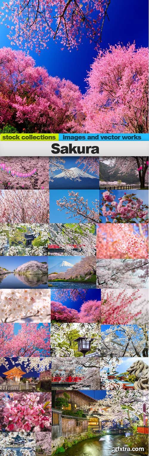Sakura,25 x UHQ JPEG