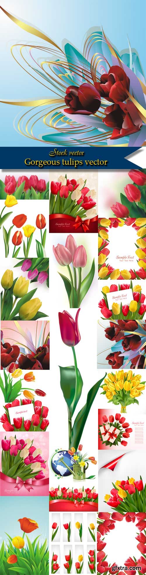 Gorgeous tulips vector Gorgeous tulips vector