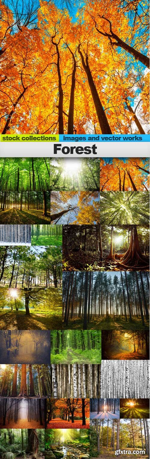 Forest,25 x UHQ JPEG