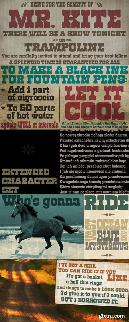 Roadway Font Family 3xOTF $45
