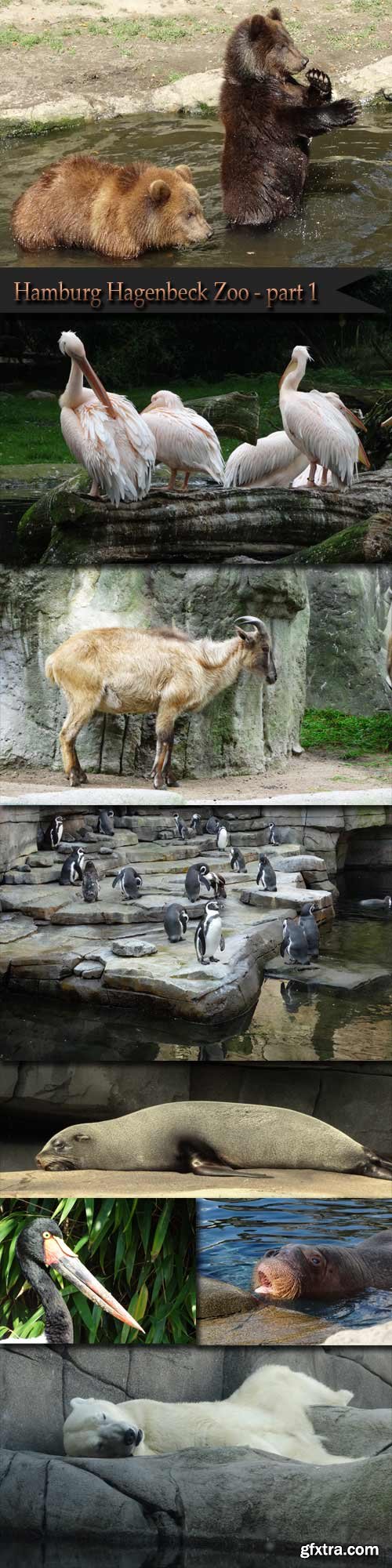 Hamburg Hagenbeck Zoo - part 1