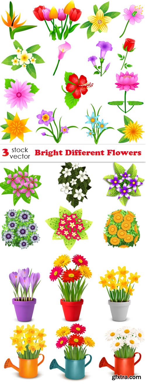 Vectors - Bright Different Flowers