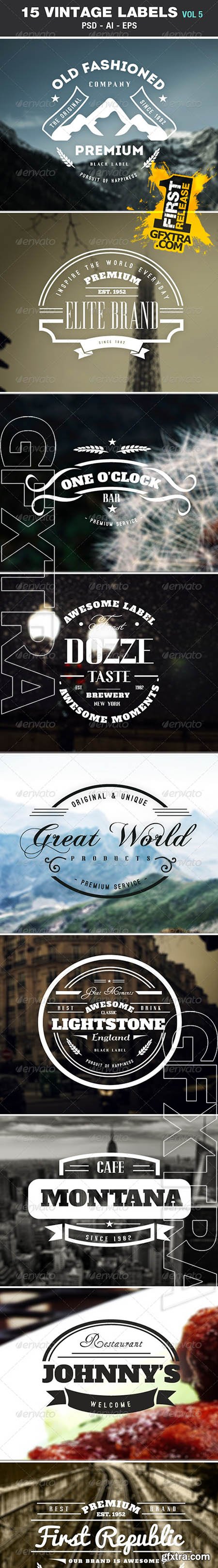Retro Vintage Labels & Badges Logos V5 - Graphicriver 6799367