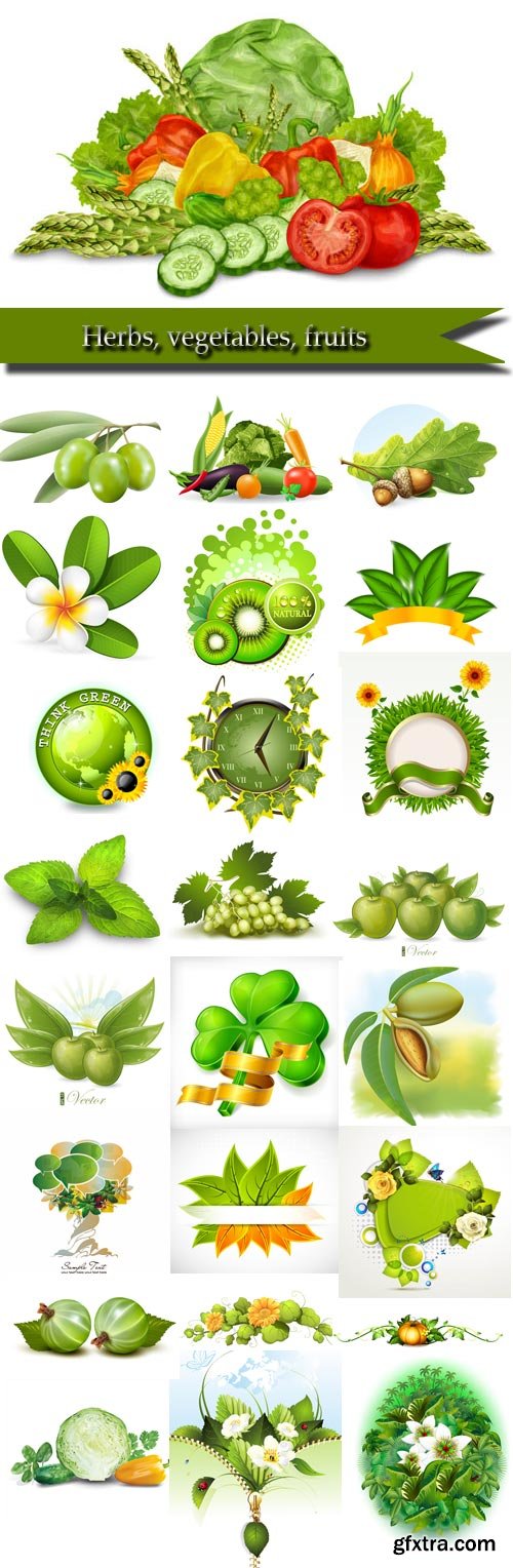 Herbs, vegetables, fruits