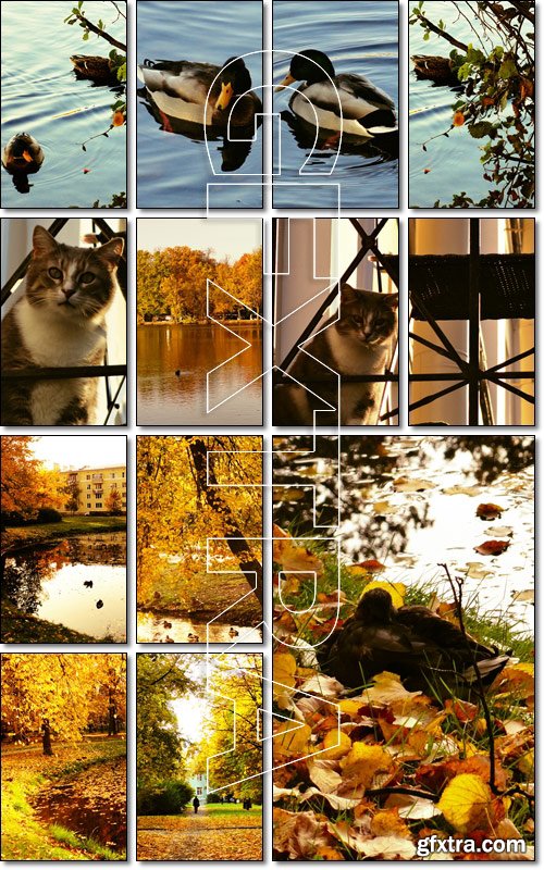Golden Autumn - Stock photo