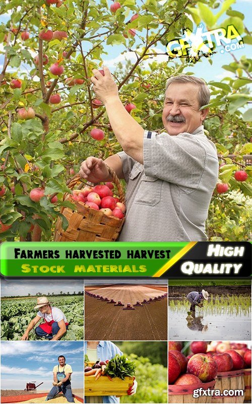 Farmers harvested harvest Stock images - 25 HQ Jpg