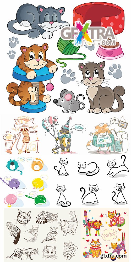Home pet cats