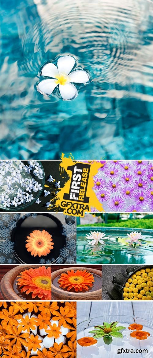 Stock Photo Beautiful flower floating in water