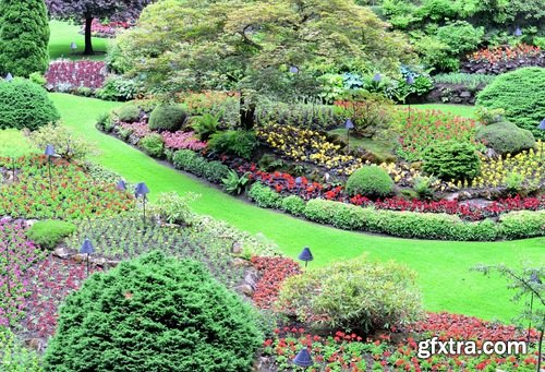 Collection of plants for landscaping 25 UHQ Jpeg