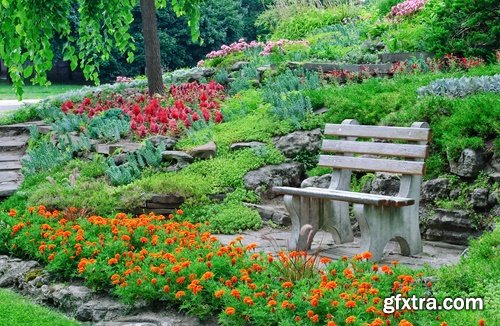 Collection of plants for landscaping 25 UHQ Jpeg