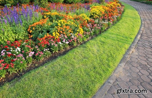 Collection of plants for landscaping 25 UHQ Jpeg