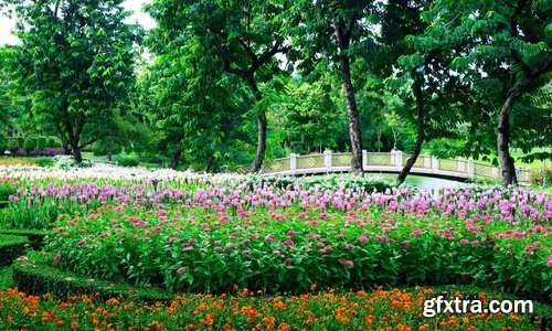 Collection of plants for landscaping 25 UHQ Jpeg